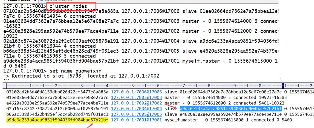 cluster nodes